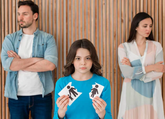 Creating Sustainable Agreements Through Guided Divorce Negotiations Maldon